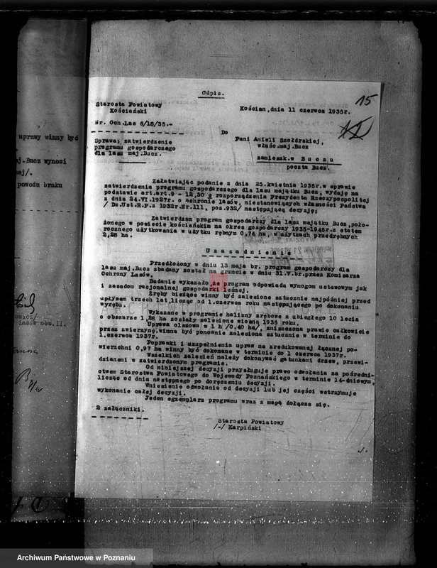 Obraz 19 z jednostki "Nadzór nad gospodarką w lasach majętności Bucz powiat kościański"