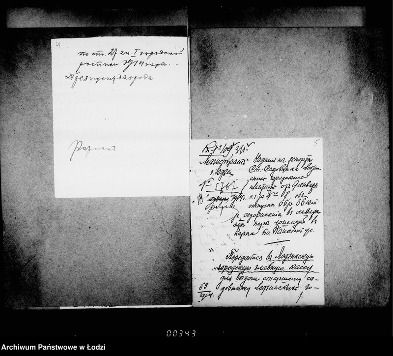 Obraz 8 z jednostki "O raschodach po soderžaniju v ispravnosti gorodskago parka po Panskoj ulice"