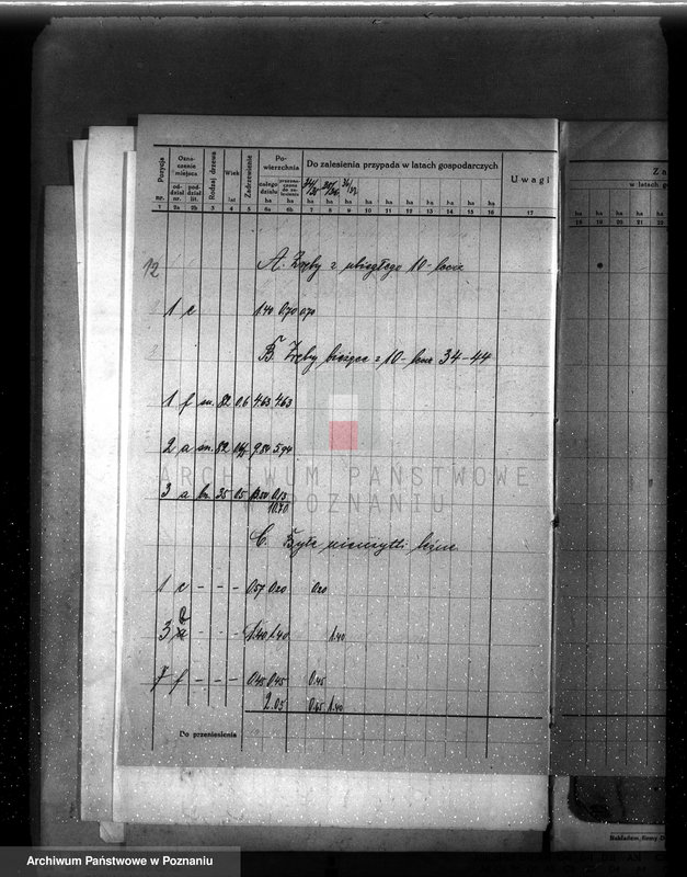 Obraz 16 z jednostki "Plan urządzenia gospodarstwa leśnego majątku Chlewiska w powiecie szamotulskim"