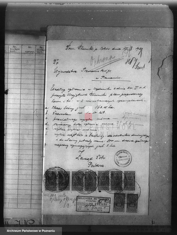 Obraz 5 z jednostki "Nadzór nad gospodarką w lasach majętności Śliwniki powiat ostrowski"