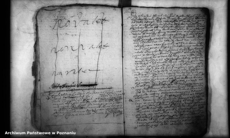 Obraz 16 z jednostki "Inscriptiones, resignationes [protocollon]"