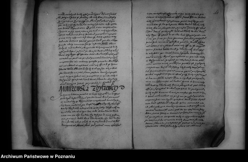 Obraz 11 z jednostki "Inscriptiones [inducta]"