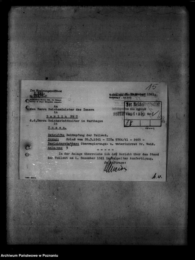 Obraz 19 z jednostki "Tollwut"