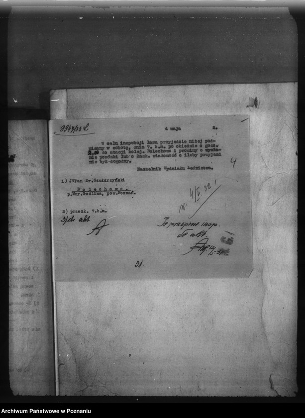 Obraz 8 z jednostki "Bolechowo powiat poznański /nadzór nad gospodarką leśną/"