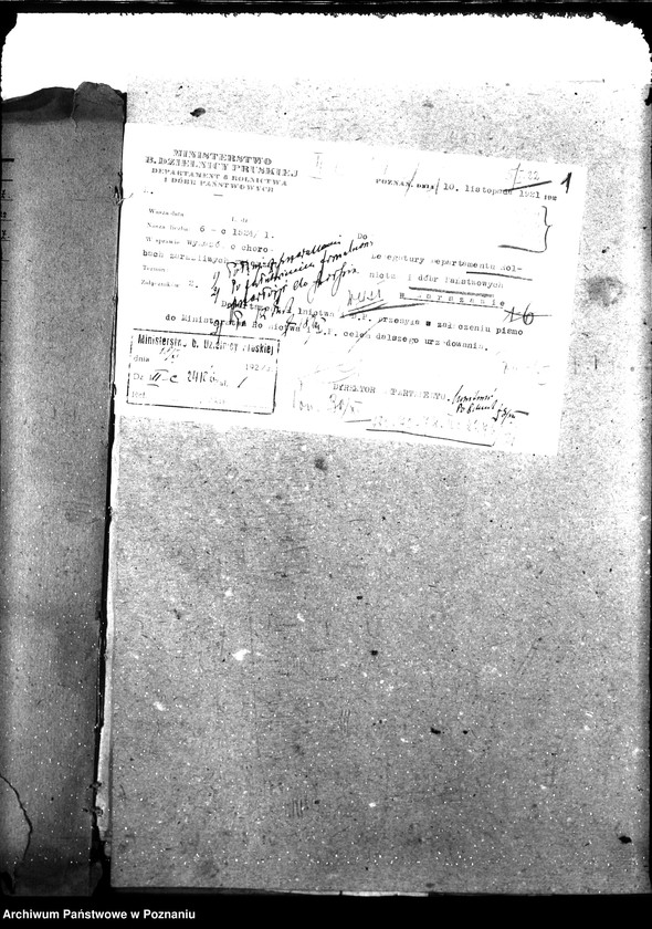 Obraz 5 z jednostki "Weterynaria"