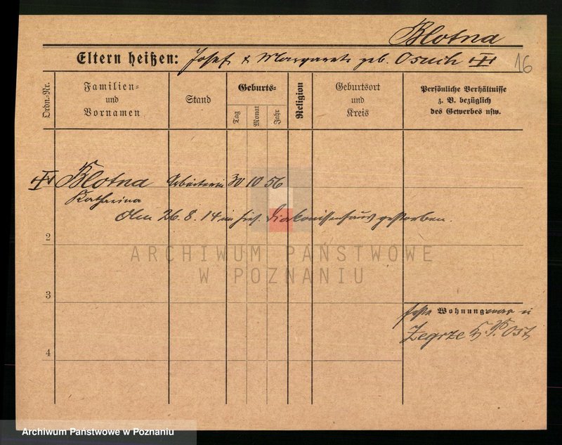 Obraz 18 z jednostki "Bloch - Blume"