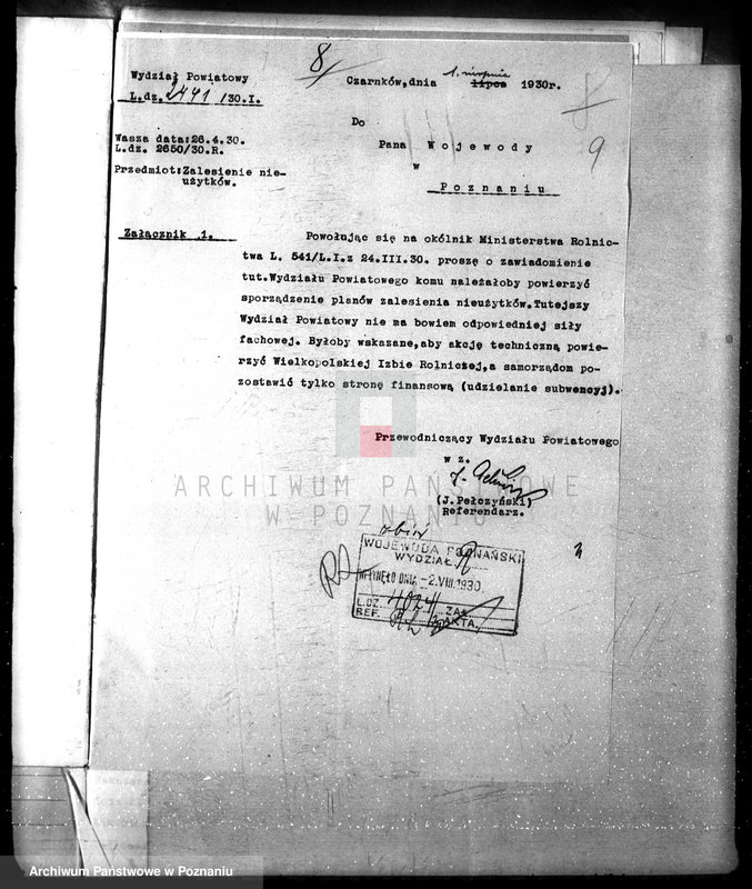 Obraz 13 z jednostki "Zalesianie nieużytków w powiecie czarnkowskim"