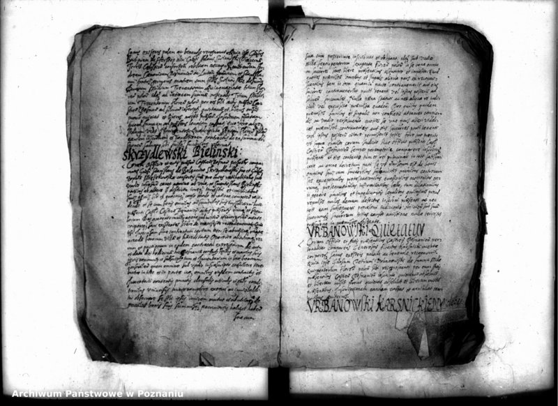 Obraz 6 z jednostki "Inscriptiones [inducta]"