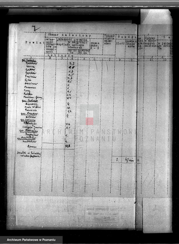 Obraz 12 z jednostki "Zalesienie nieużytków w powiecie kolskim"