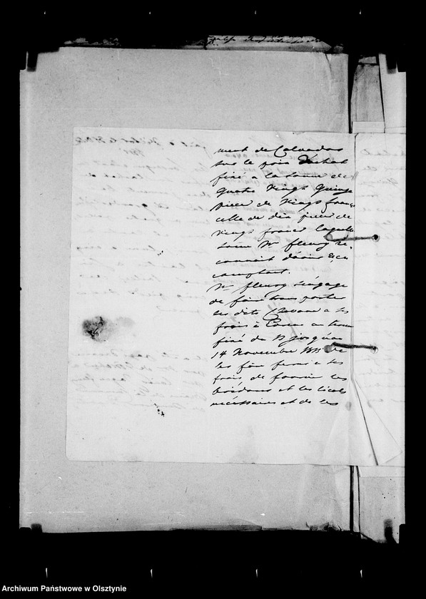image.from.unit.number "/Hippologisches II. Korrespondenz betr. Pferde/"