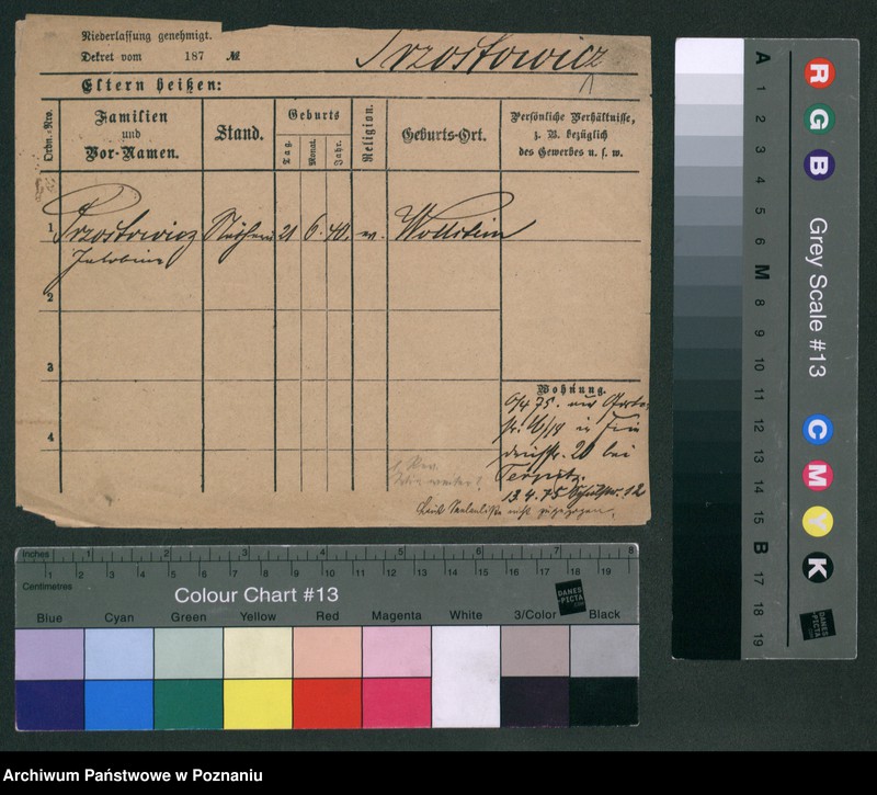 Obraz 3 z jednostki "Przonowska - Przybyła"