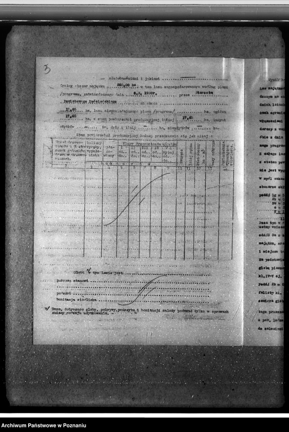 Obraz 7 z jednostki "Las majętności Dalabuszki powiat gostyński"