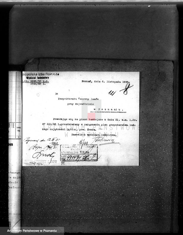 Obraz 16 z jednostki "Nadzór nad gospodarką w lasach majętności Dębicz powiat średzki"