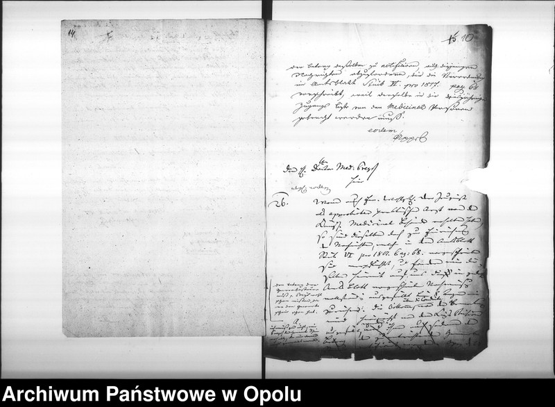 Obraz 12 z jednostki "Acta von Anfertigung und Einsendung der Nachweisungen des Medicinal Personals bey der Stadt Oppeln Vol. I pro 1817"
