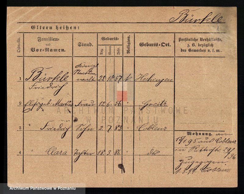 Obraz 3 z jednostki "Birkhahn - Biskupski"