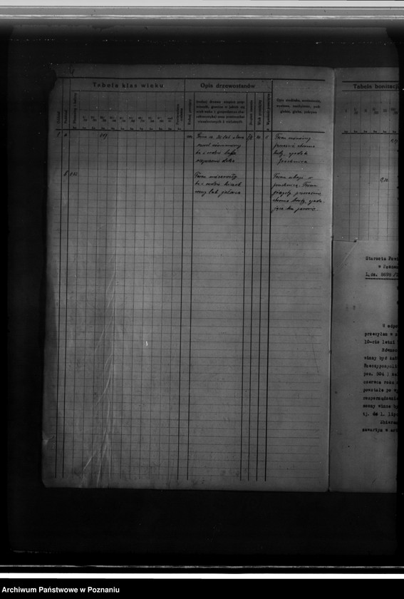 Obraz 10 z jednostki "Program gospodarczy dla lasu J. Kajewskiego w gminie Wiórek powiat poznański 1929-1939"