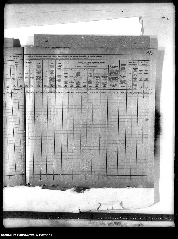 Obraz 17 z jednostki "Statystyka"