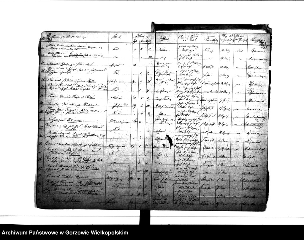 image.from.unit.number "Duplikate der Kirchenbücher von Alt Lipke (Stare Lipki), Neu Lipke (Nowe Lipki), Albrechsthal (Kurzelewo), Bernhardinenhof (Pomianowice), Antoinettenlust Grodziec), Esperance (Siedlikowo), Christiansaue (Wierzbica), Marienwiese (Mąkoszyce), Annenaue (Baranowice) Alt Lipkesch Bruch (Lipki Małe), Pollychener Holländer (Nowe Polichno), Louisenaue (Ludzisławice) Christophswalde (Jastrzębnik)."