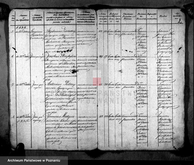 image.from.unit.number "Metrices copulatorum"