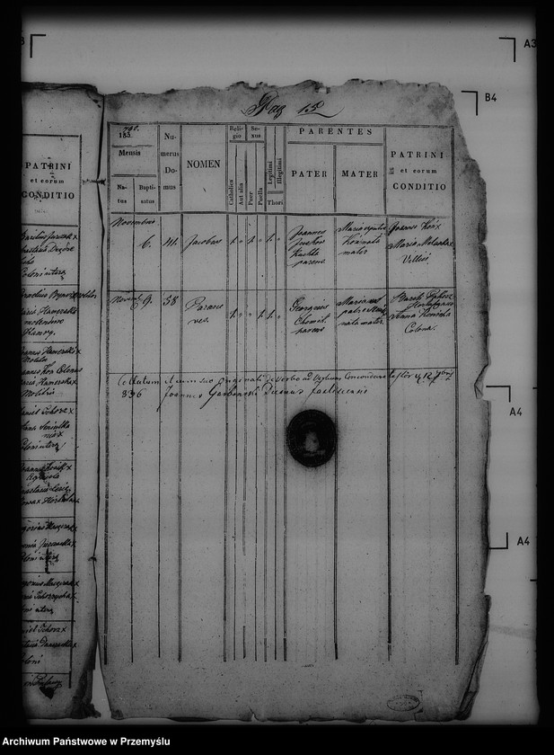 Obraz 19 z jednostki "[Kopie ksiąg metrykalnych parafii Puławy (dekanat Buków)]"
