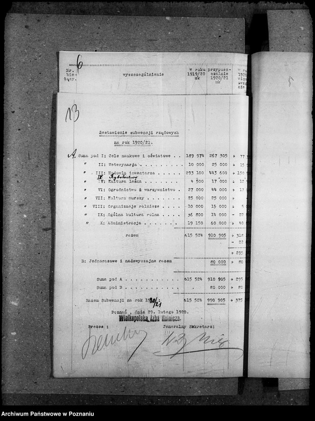 Obraz 17 z jednostki "Budżet Wielkopolskiej Izby Rolniczej na rok 1921"