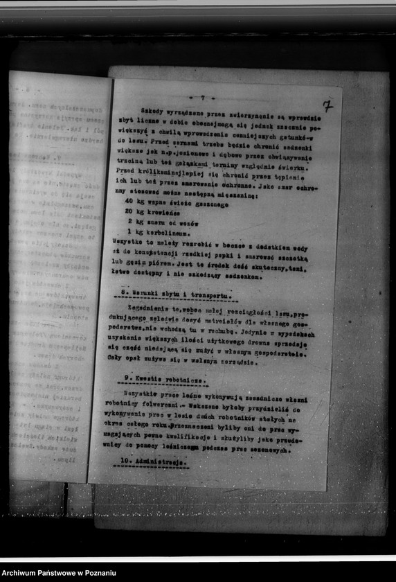 Obraz 11 z jednostki "Program urządzania gospodarstwa leśnego majętności Brachlin -powiat kościański"