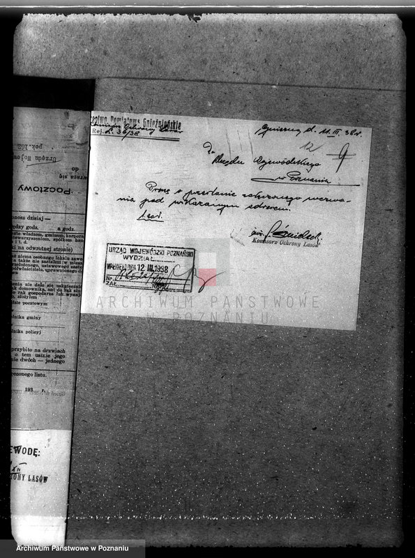 Obraz 16 z jednostki "Nadzór nad gospodarką w lasach majętności Przysieka powiecie gnieźnieńskim"