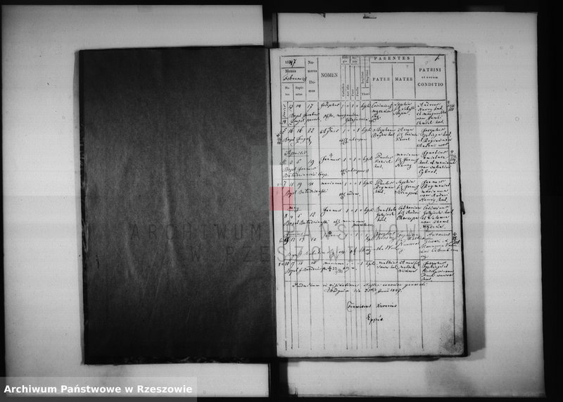 image.from.unit "Księga urodzeń 1847-1883 i małżeństw 1839-1906 Zalesie k/ Łańcuta"