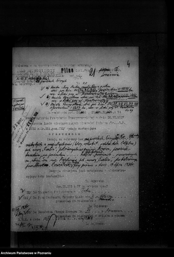 Obraz 8 z jednostki "Parcele leśne p.n.,,Ewelin" gmina Niewiesz powiat turecki"