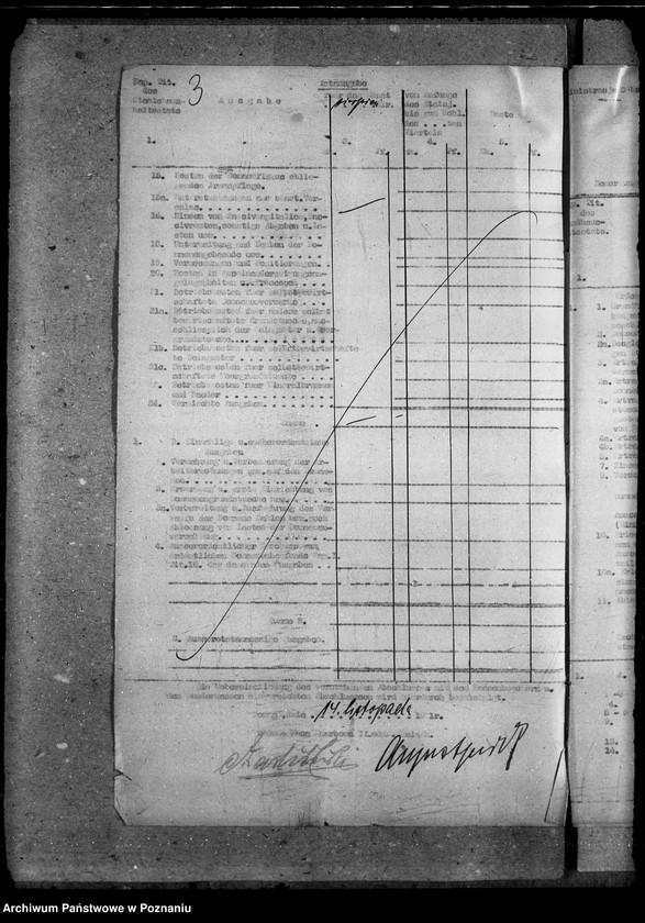 Obraz 7 z jednostki "Lasy państwowe"