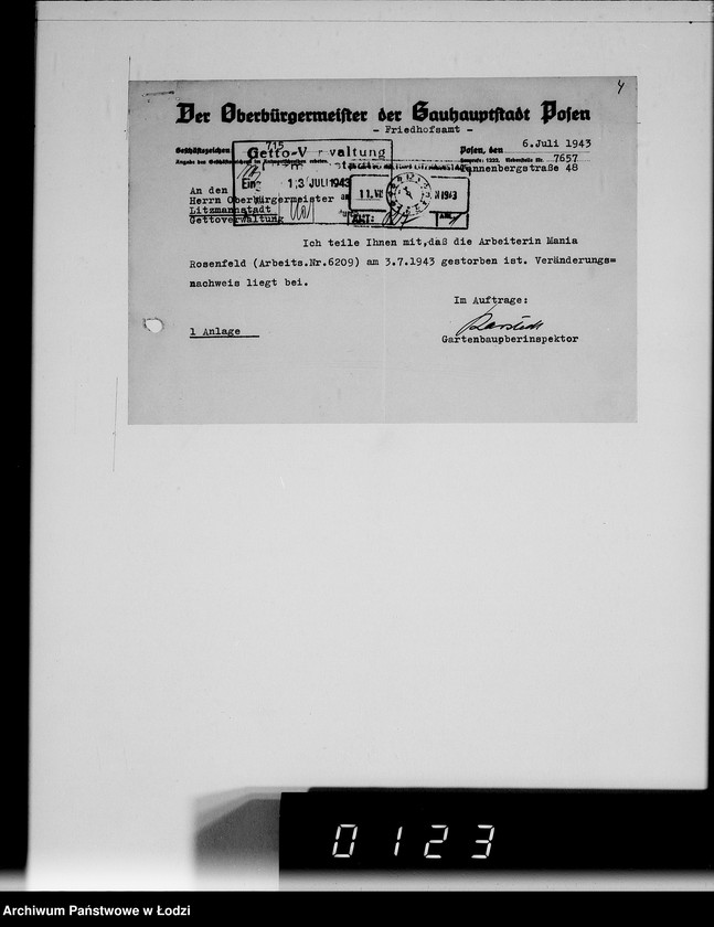 Obraz 8 z jednostki "Sonderkonto 12300. Arbeitsamt Posen Judenlager des Oberbürgermeisters von Posen"