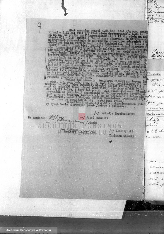 Obraz 13 z jednostki "Sprawa zmiany rodzaju użytków 5,06 ha gruntów leśnych w majątku Bogusławice /powiat koniński/ oraz zatwierdzenie projektu planu gospodarstwa leśnego"