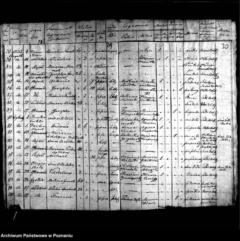 image.from.unit.number "Duplikat urodzonych, zmarłych, zaślubionych"