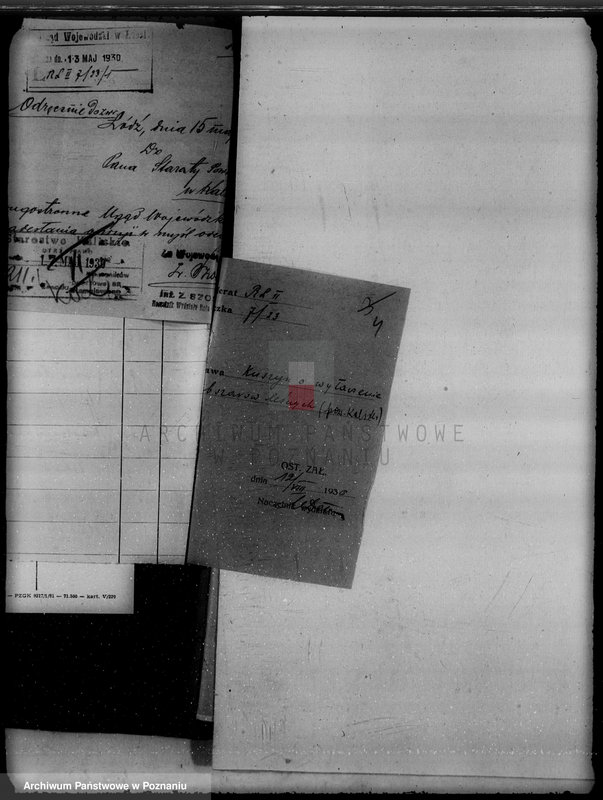 Obraz 8 z jednostki "Majątek Kuszyn powiat kaliski /sprawy leśne/"