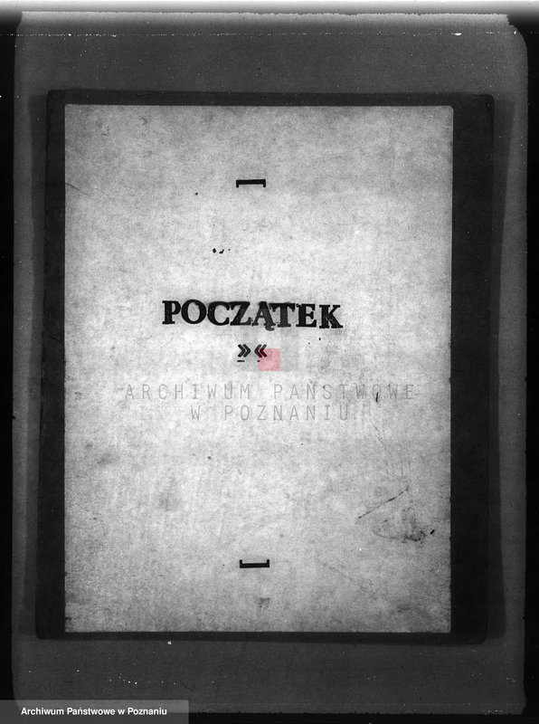 Obraz 3 z jednostki "Zalesienie nieużytków w powiecie mogileńskim"