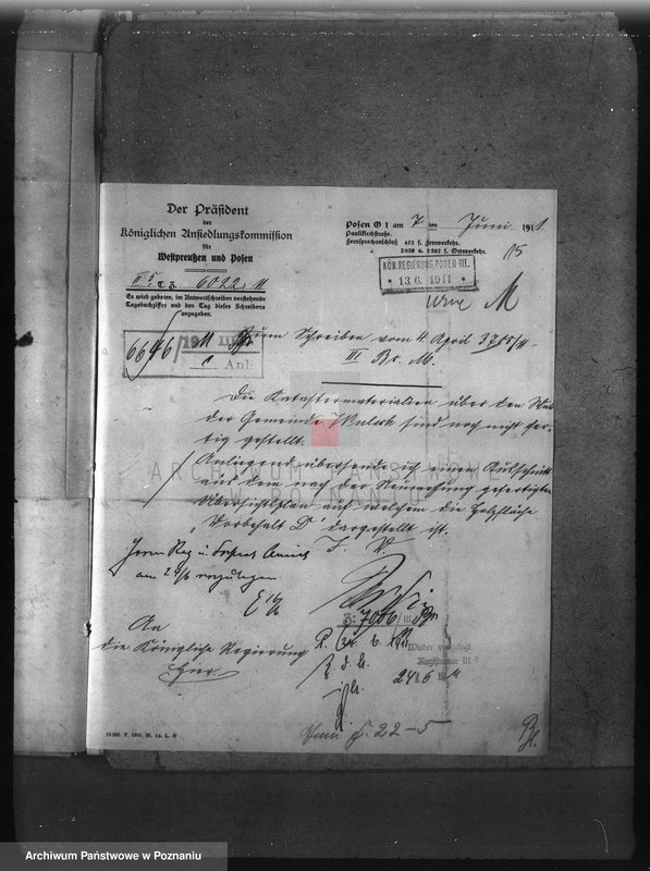 Obraz 20 z jednostki "Las gminy Olszewo powiat ostrowski"