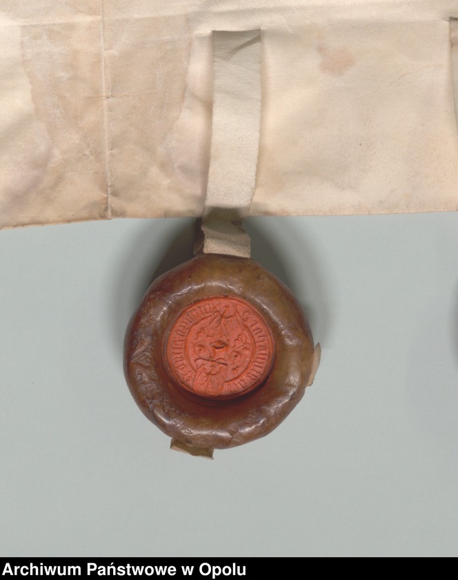 Obraz 5 z jednostki "Jan i Mikołaj, książęta śląscy, na Opolu, Głogówku etc. poświadczają, że stawiła się przed nimi Dorota Pillchwiczynn. Potwierdzają oni jej"