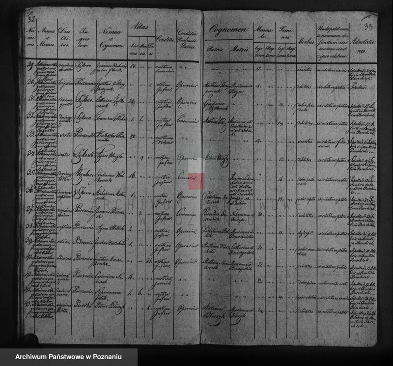 image.from.unit.number "Duplicat baptisatorum, copulatorum, mortuorum"