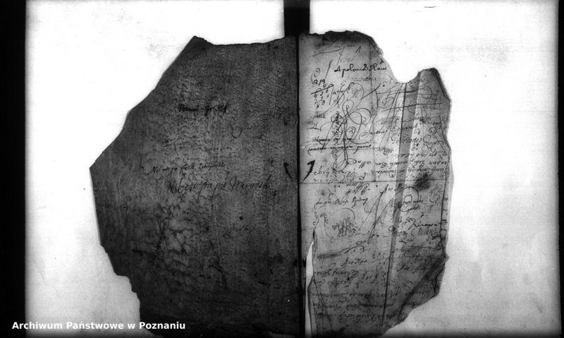 Obraz 3 z jednostki "Inscriptiones, resignationes [protocollon]"