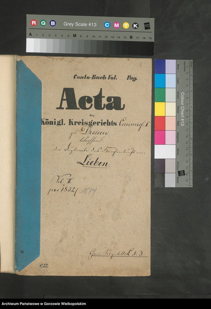 image.from.unit "Duplikate des Kirchenbuches von Lieben (Lubień)"