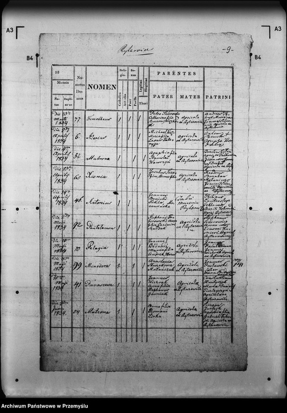 Obraz 13 z jednostki "[Kopie ksiąg metrykalnych parafii Rajtarowice z filiami Rogóźno, Sadkowice (dekanat Mościska)]"
