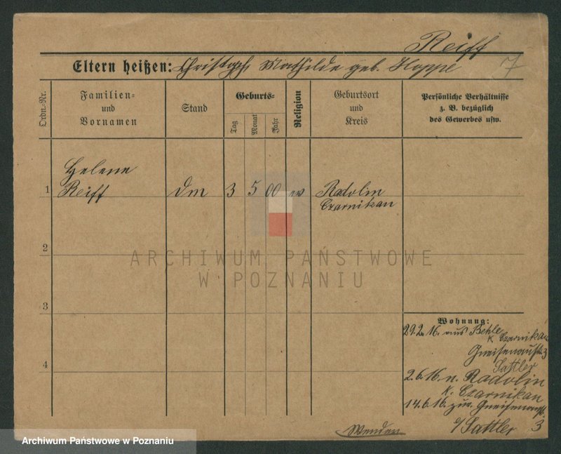 Obraz 9 z jednostki "Rajf - Rajman (Rei...)"