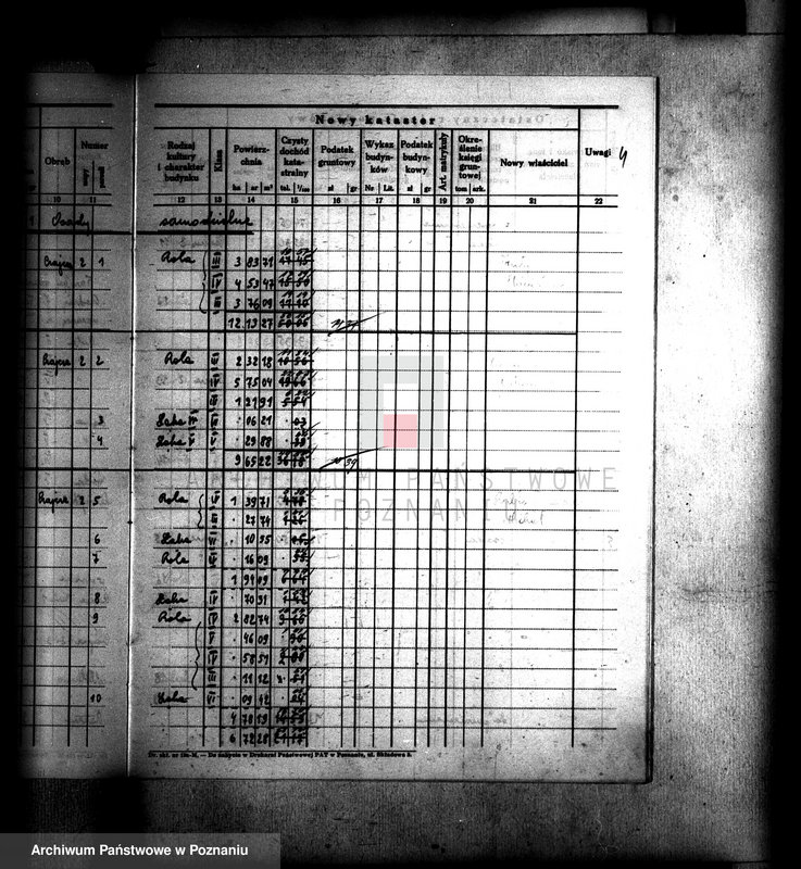 Obraz 8 z jednostki "Ostateczny rejestr pomiarowy gromady Czajcze powiatu wyrzyskiego"