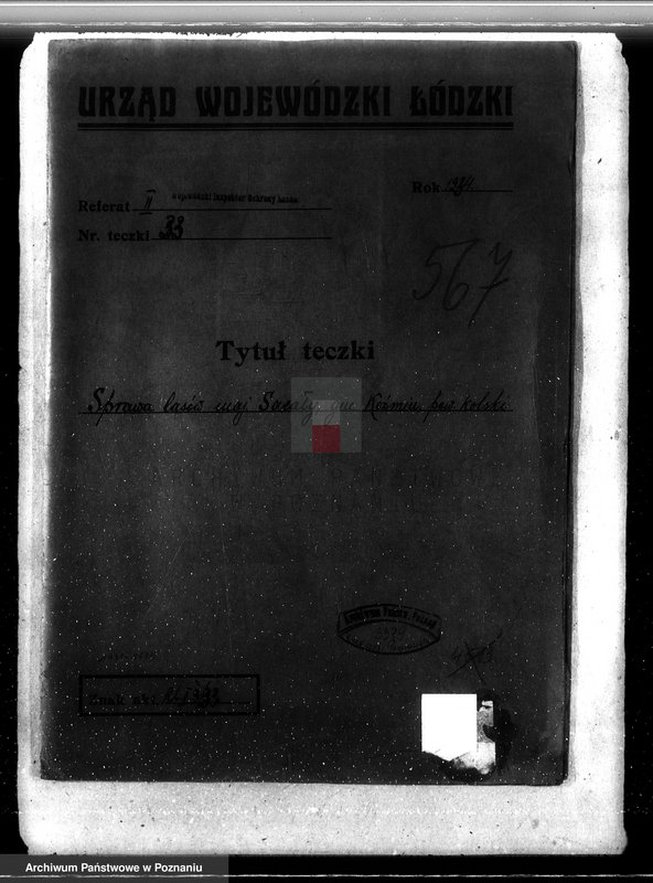 Obraz 4 z jednostki "Sprawa lasów majątku Sacały powiat kolski gmina Koźmin"