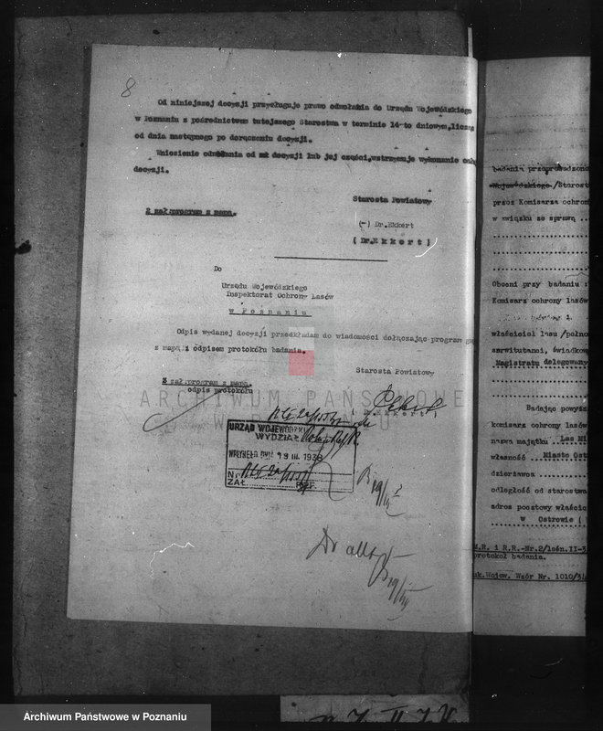 image.from.unit.number "Nadzór nad gospodarką w lasach miasta Ostrowa"