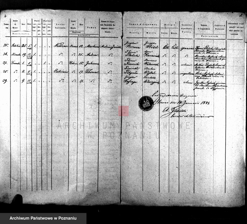 Obraz 5 z jednostki "Duplikat baptisatorum, copulatorum, mortuorum"