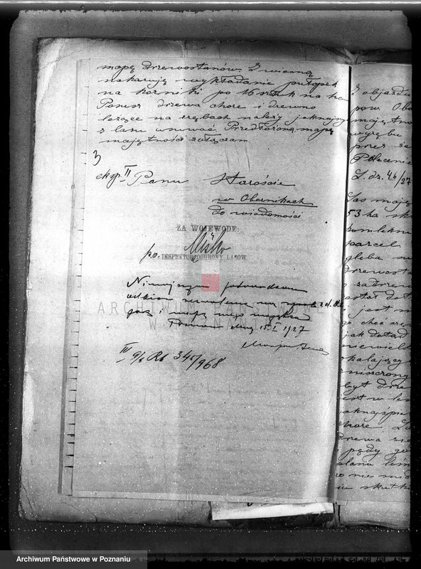 image.from.unit.number "Majętność leśna Stobnica powiat obornicki"