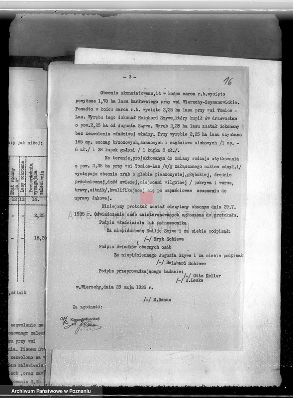 Obraz 20 z jednostki "Gmina Szyminowice powiat koniński /nadzór nad gospodarką leśną/"