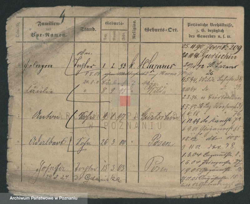 Obraz 11 z jednostki "Skrzypczak (żonaci - samotni mężczyźni)"