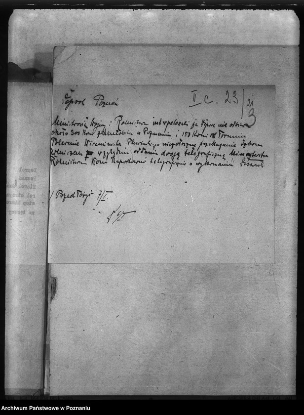 Obraz 7 z jednostki "Rekwizycje koni"